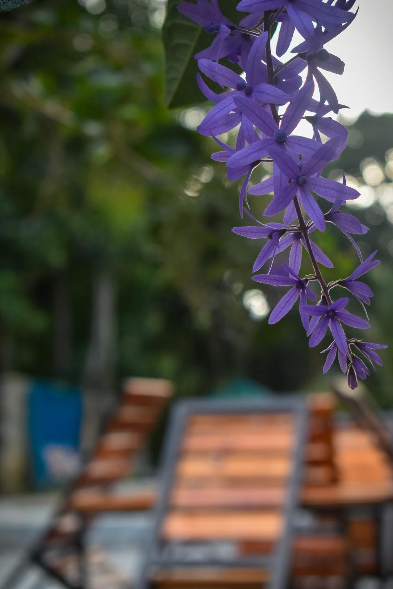 Villa Tranquil Kandy Peradeniya Esterno foto