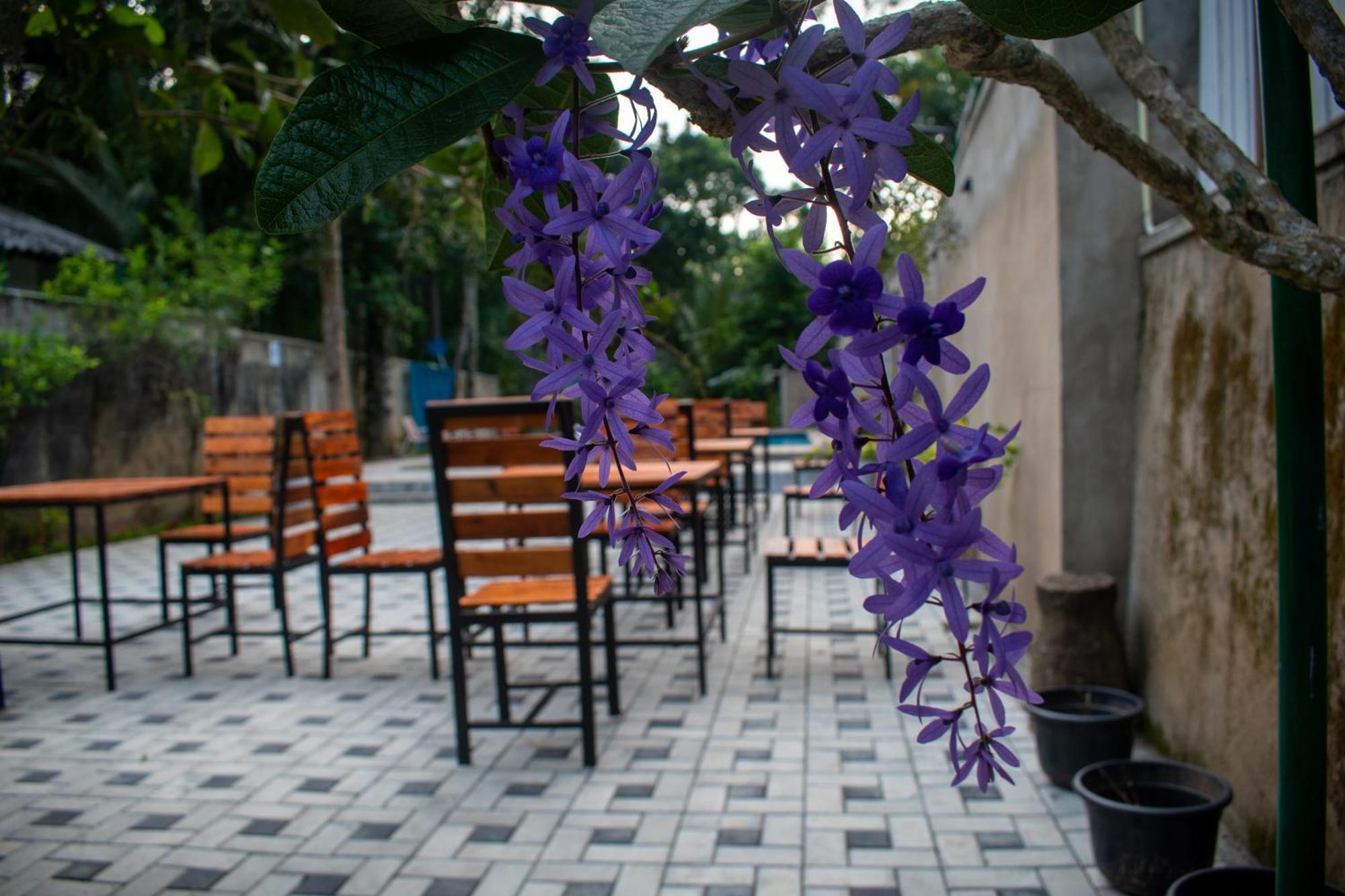 Villa Tranquil Kandy Peradeniya Esterno foto